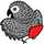 Macaw Macaw
