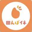 田んぼイネ