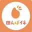 田んぼイネ