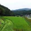 豊岡ナチュラルファーム