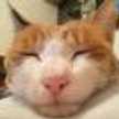 みこぴん