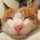 みこぴん