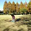 けんといも