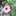 tantanちゃん tantanちゃん