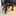 kin244 kin244