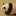kumaneko7 kumaneko7