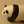 kumaneko7