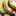 さいとうりん