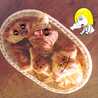 あくろこ