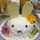 うさP うさP