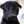 choco☆pug