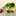 rosefinch rosefinch