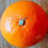 citrus.water 糸島みかん
