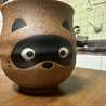 SoyunGato