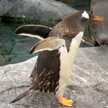 てん22