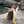 てん22
