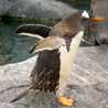 てん22