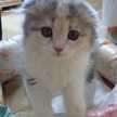 motti♪