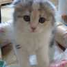 motti♪