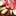 eri☆81 eri☆81