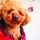Motti_21 Motti_21