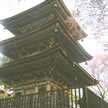 HARUHIII
