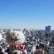マユタ☆☆☆☆