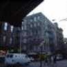 New York Lover