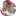 とらたにゃん