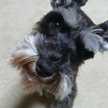 biby