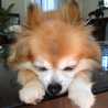 maotto