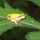 happyFroggy happyFroggy