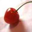 mohrich