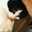 neko4
