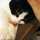 neko4 neko4