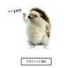もきち