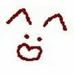 kitty