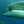 ちえ子