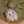 heavymetal-hamsters.com