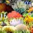 aquarium