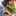 アヒルアヒル アヒルアヒル