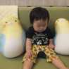 shibu＊ai＊