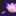 ももんがエリー ももんがエリー