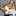 なめネコ なめネコ