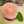 マリるーむ
