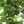 fum0719