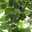 fum0719