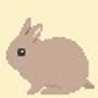 うさこ
