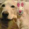 モモともこ