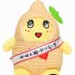 クック吉田。